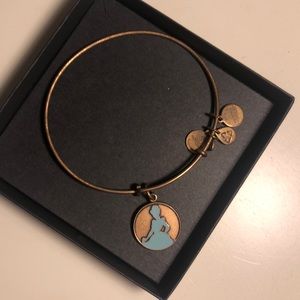 Alex and ani disney bracelet